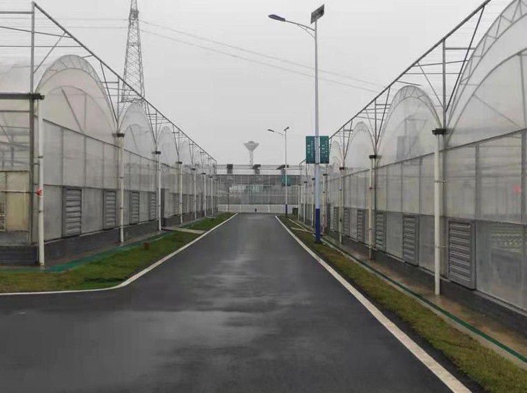 新榮連棟溫室大棚